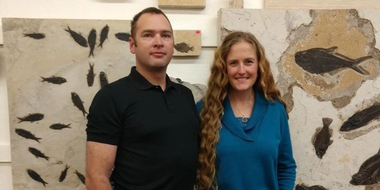 Wyoming Fossils Fossils for Sale, Fossil, Green River Formation